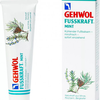 Gehwol Fusskraft Mint 