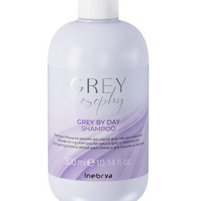 Inebrya Grey By Day Shampoo