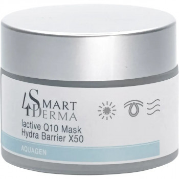 Smart4Derma IActive Q10 Mask Hydra Barrier X50