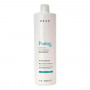  Braé Puring Anti-Oil Shampoo